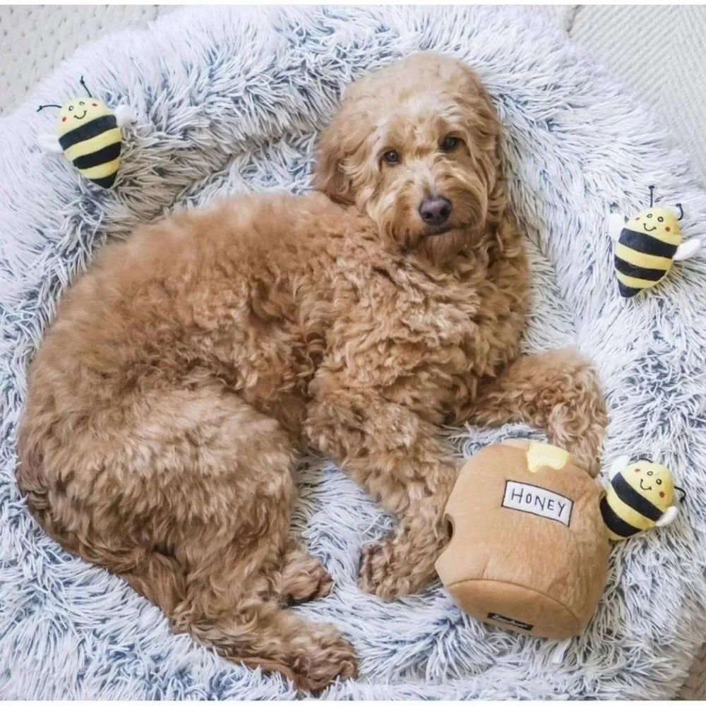 Zippy Paws Burrow Interactive Dog Toy Hide and Seek Squeaky Honey Pot with Bees